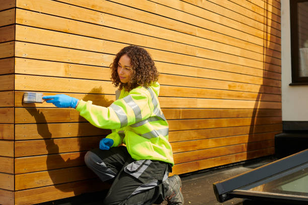 Best Vinyl Siding Installation  in Crivitz, WI