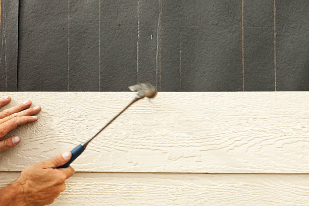 Best Aluminum Siding Installation  in Crivitz, WI